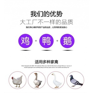 家禽去毛不再烦恼 鸡鸭鹅去毛机器的使用与选购指南